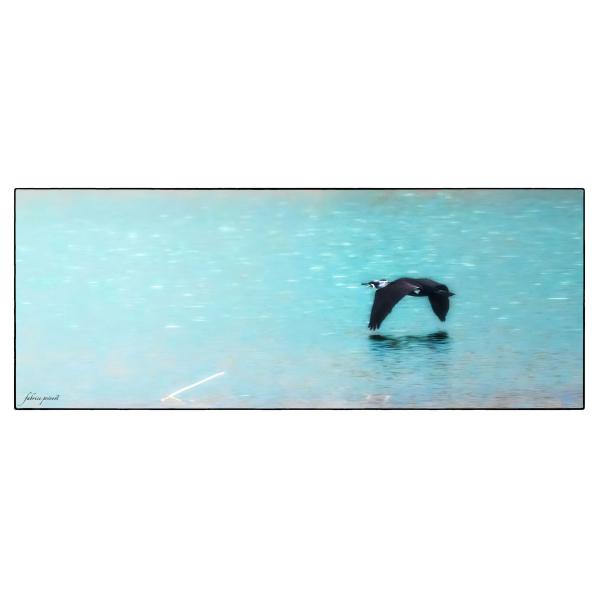 PHOTO84, CLUB, 84 , LUBERON